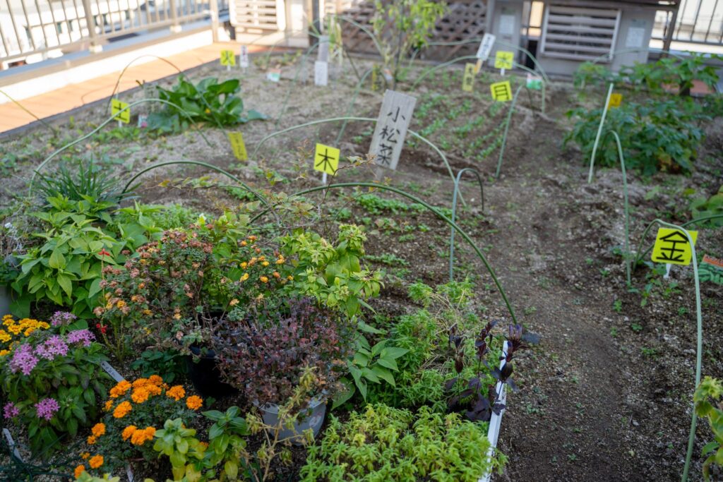 株式会社すこやか 屋上庭園